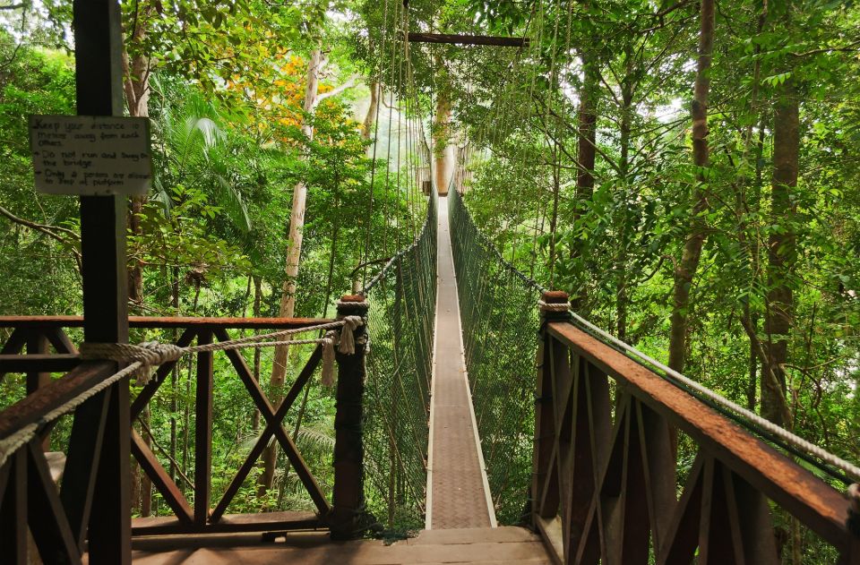 4. From Kuala Lumpur: Full-Day Taman Negara National Park